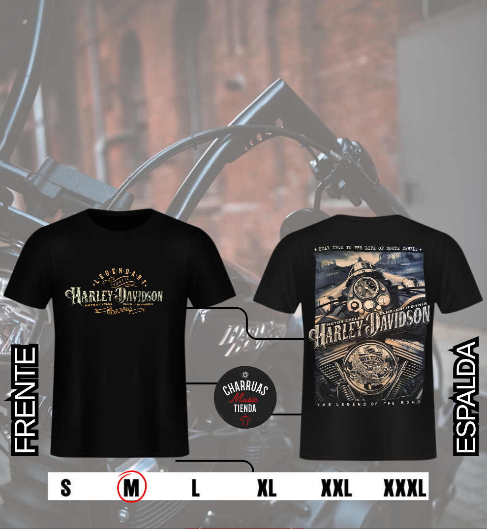 REMERA HARLEY DAVIDSON